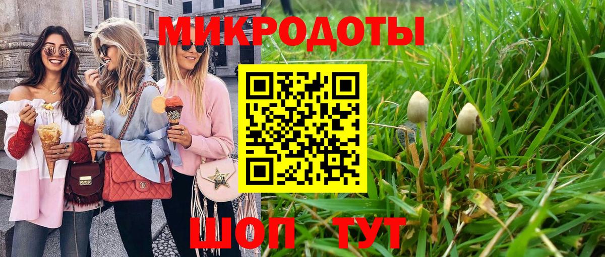 Псилоцибиновые грибы Psilocybe Электросталь