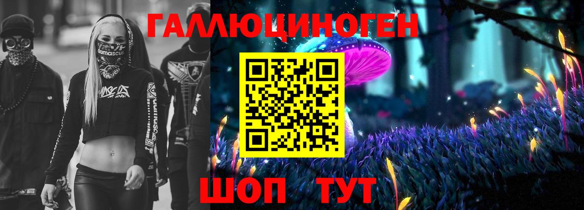 Псилоцибиновые грибы Psilocybine cubensis  Вход с VPN  Электросталь 